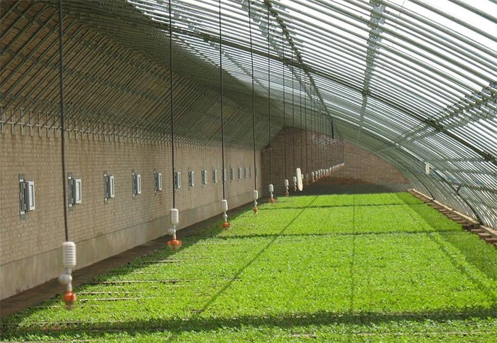 農業(yè)種植如何因地施肥?